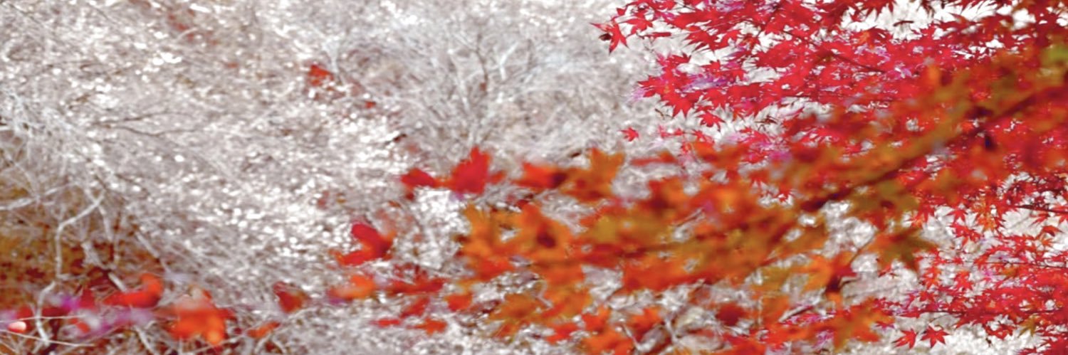 ganbarunchan_'s profile banner image