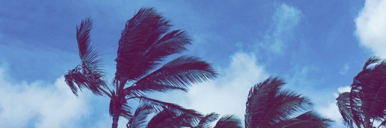 britnohea's profile banner image
