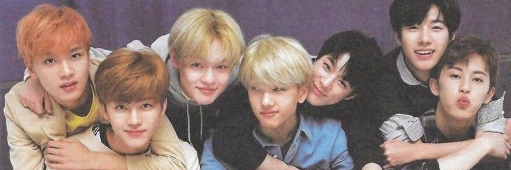 Sunflowieee banner