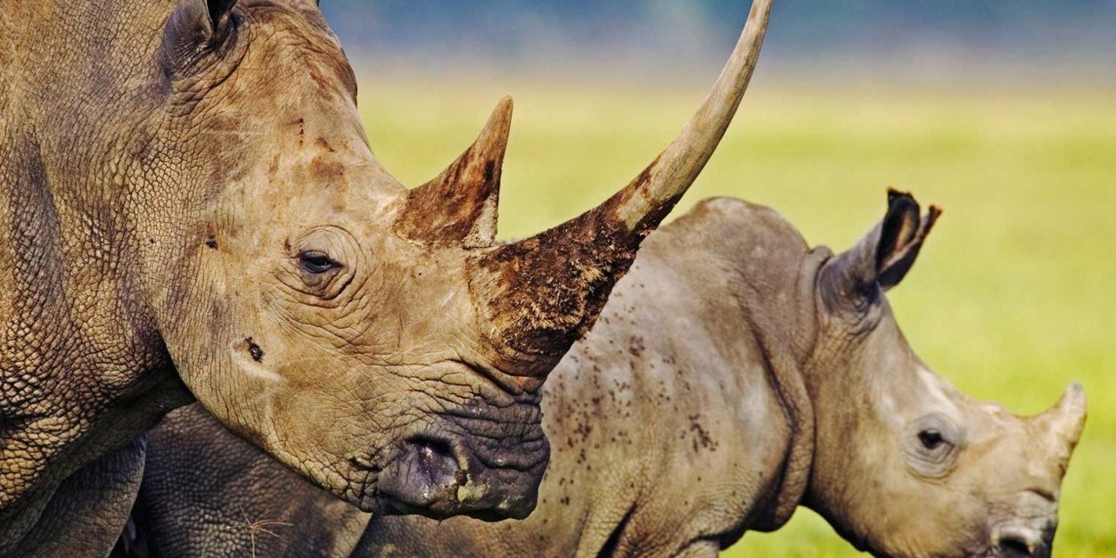 ZooPics's profile banner image