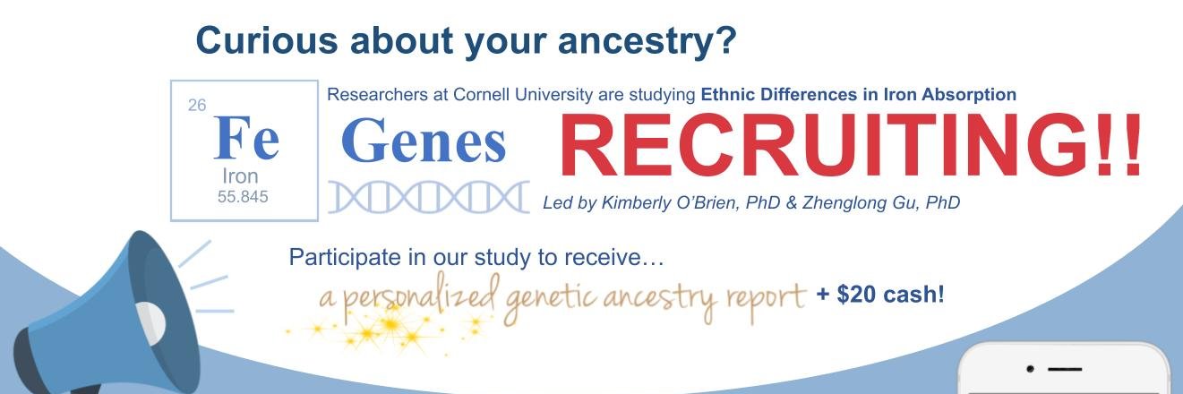 O'Brien Laboratory @ Cornell University banner