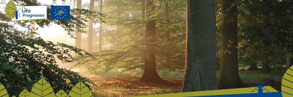 LifePrognoses Profile Banner