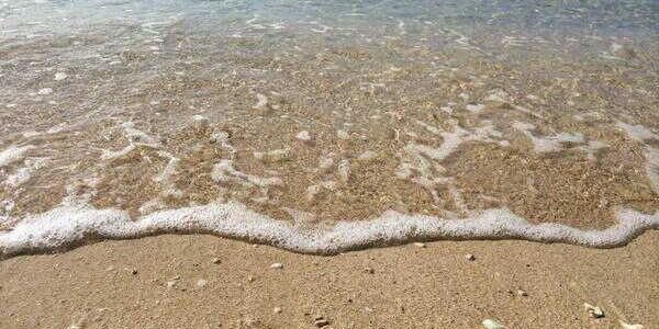 添石紗静🌺🎵そえいしさちか banner