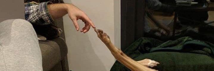 Dougllasllopes's profile banner image
