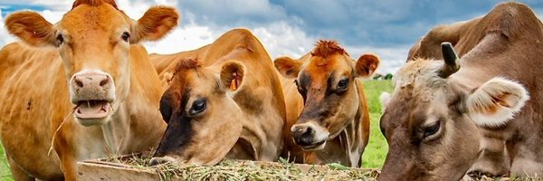 NAGRC_DB Profile Banner