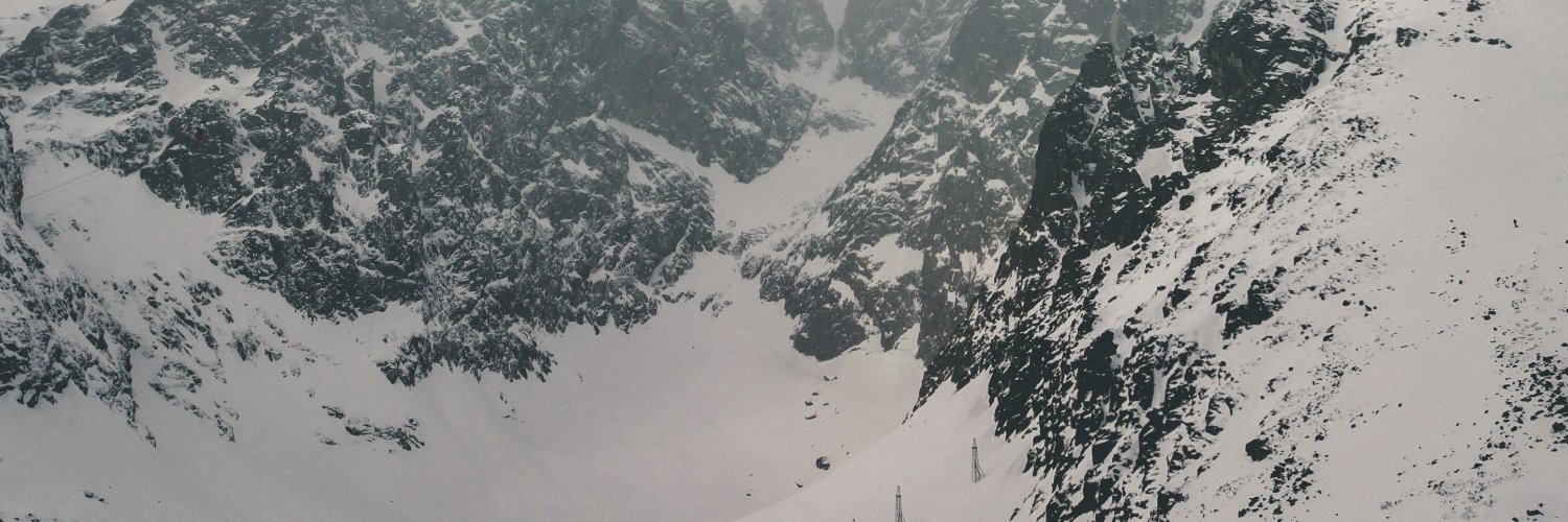 SaveLouTonightx's profile banner image