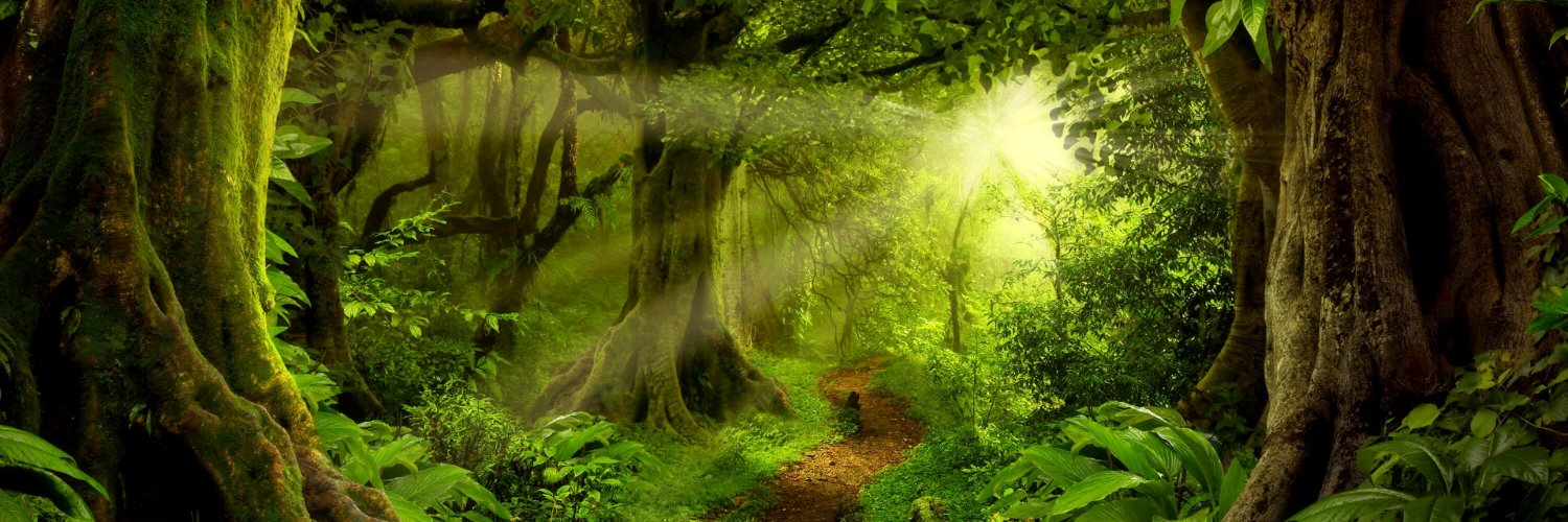 CryptoWarlock banner