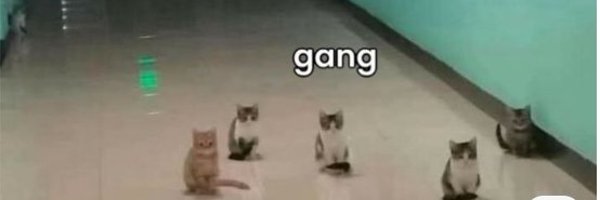Tr0xaz Profile Banner