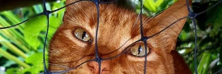 MaryVel42908043's profile banner image