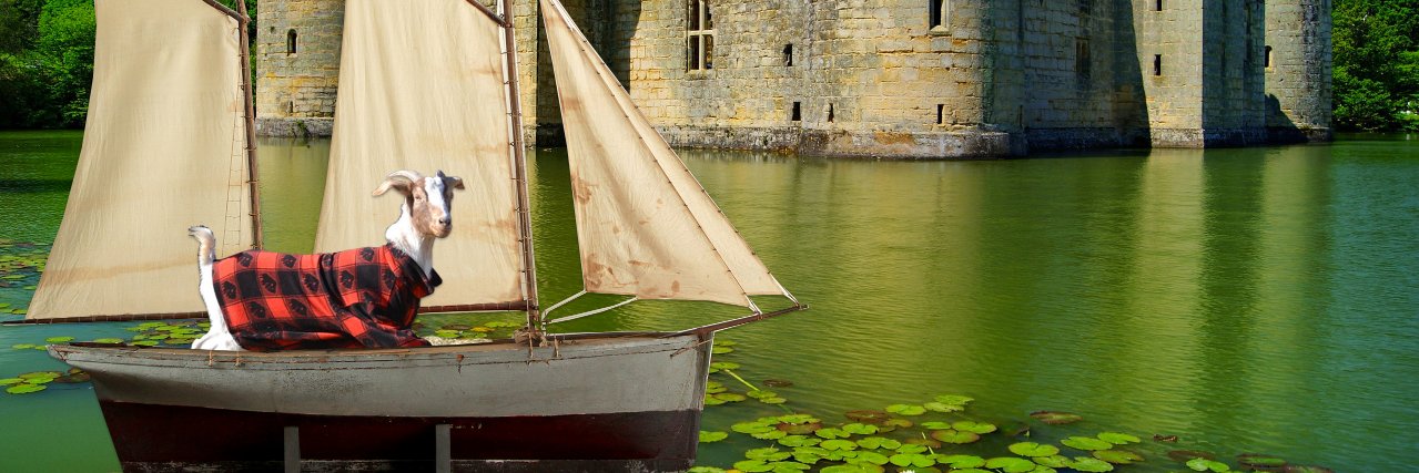 Megan O'Neill banner