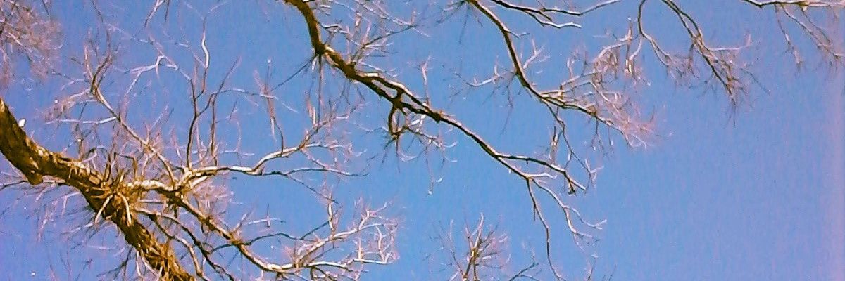 mcube_g's profile banner image