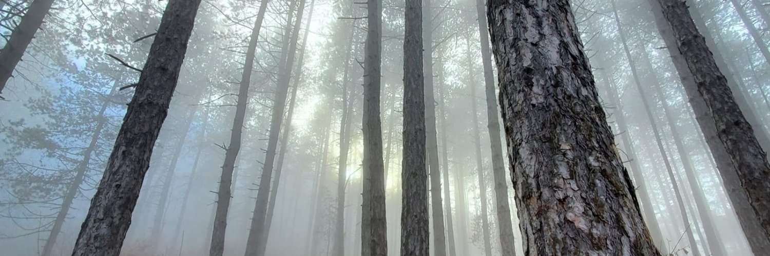 Artocube banner