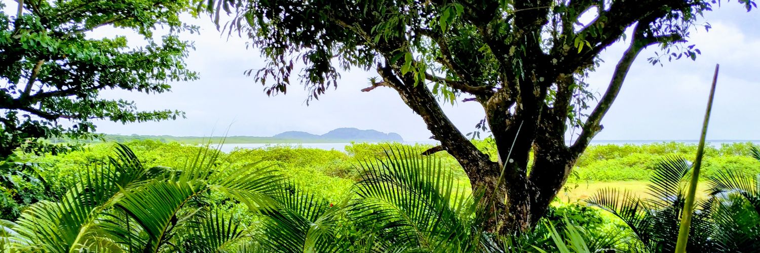 FernandoGunther's profile banner image