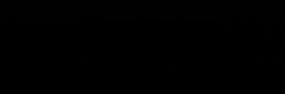L banner