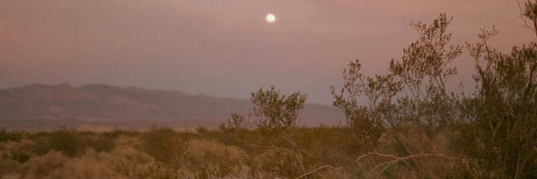 Saumyangi Yadav banner