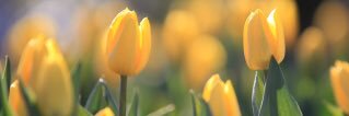 km381122's profile banner image