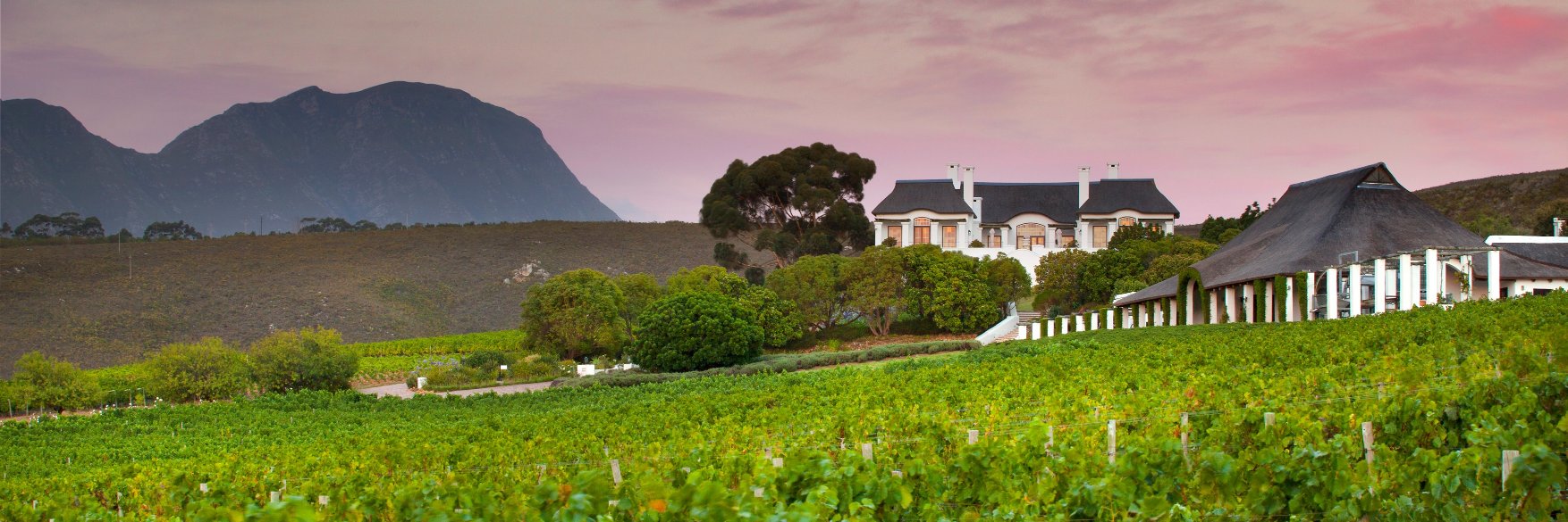 Bouchard Finlayson banner