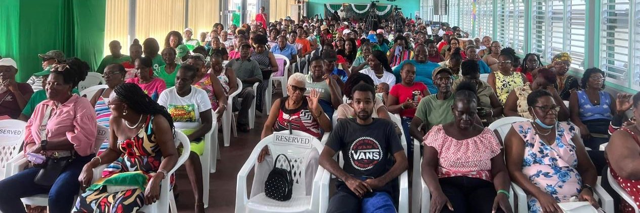 New National Party banner