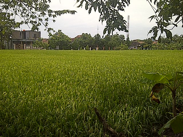 hari_danuarta's profile banner image