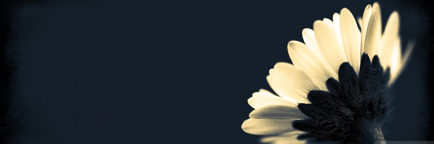 NeveenShabaro's profile banner image