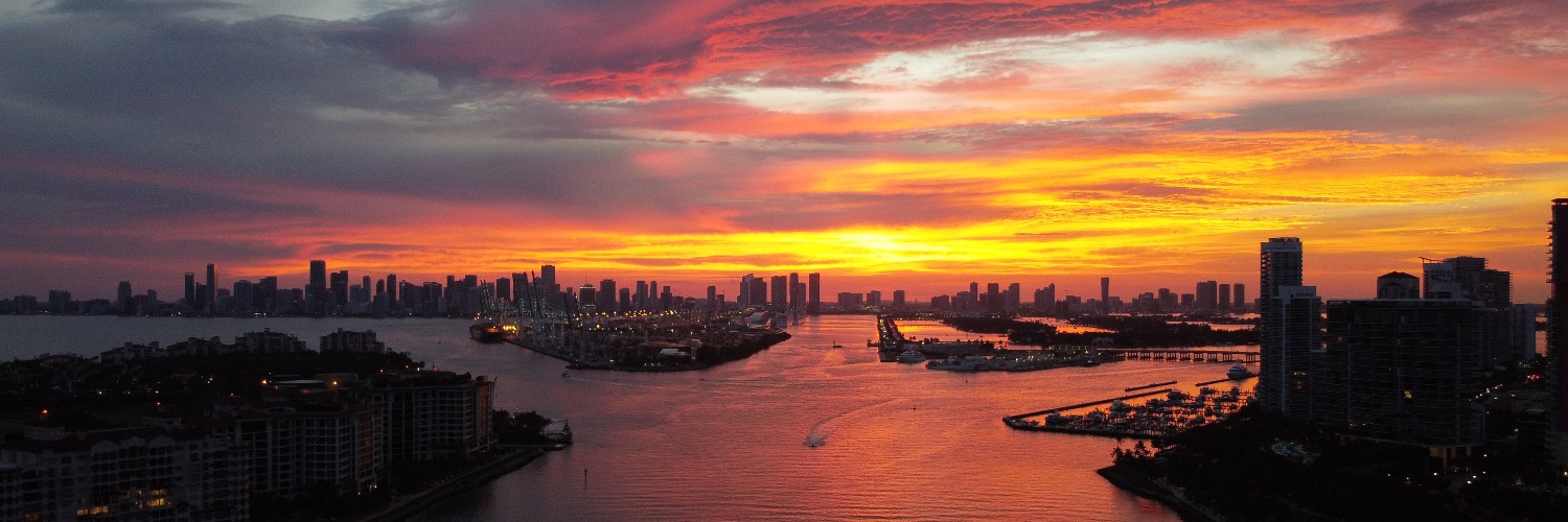 🍕Mark William Lewis banner