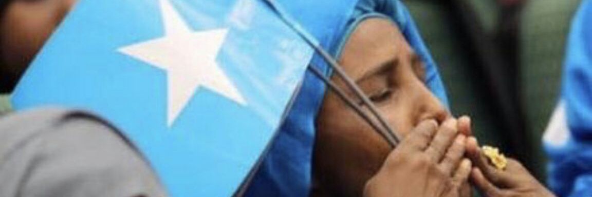 14Dooodi7's profile banner image