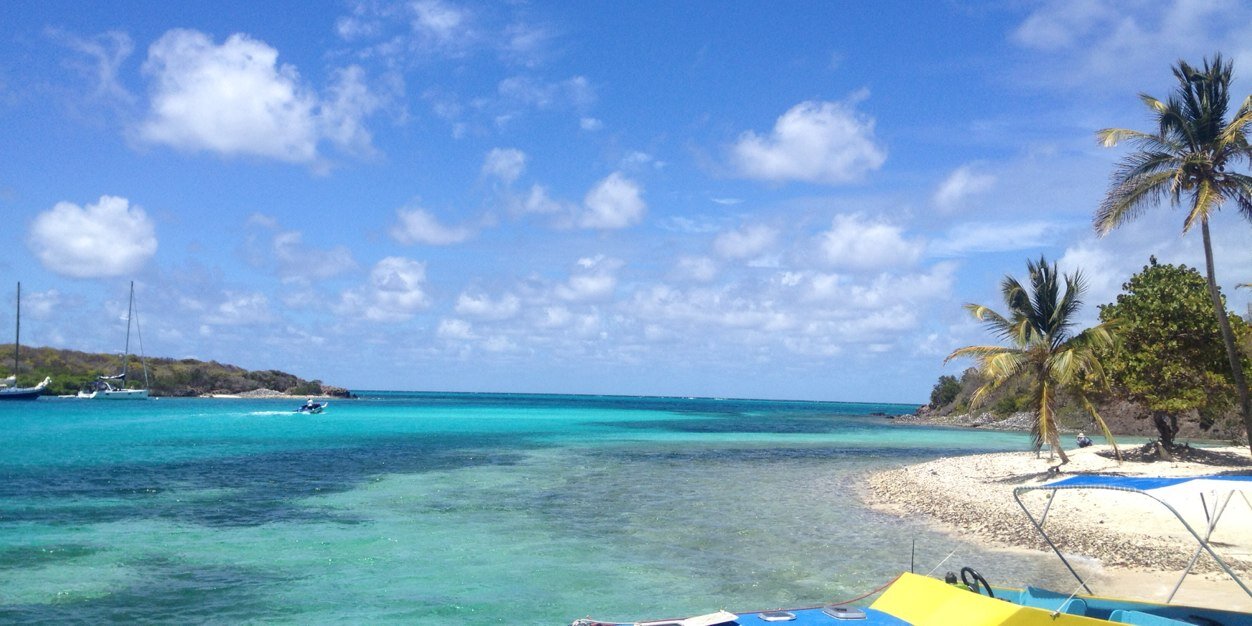 Kerri-Ann Roper banner