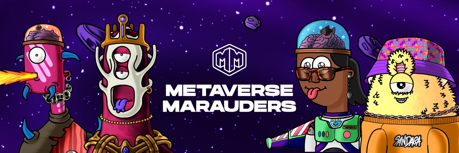 Metaverse Marauders banner