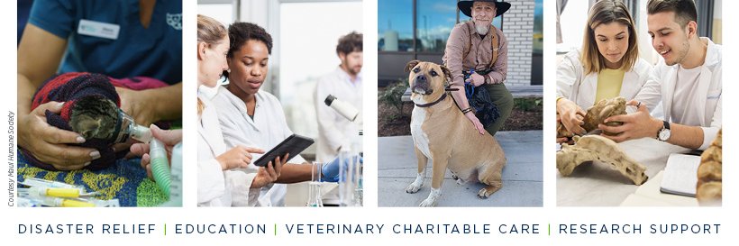 American Veterinary Medical Foundation banner