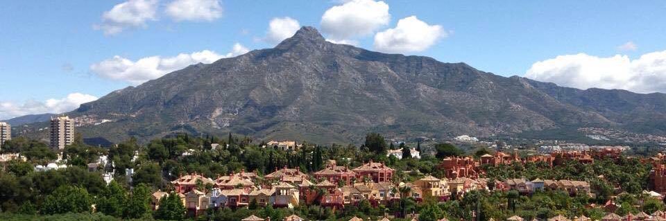 CARMEN FERRIN banner