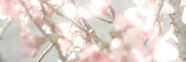 NishidaYael Profile Banner