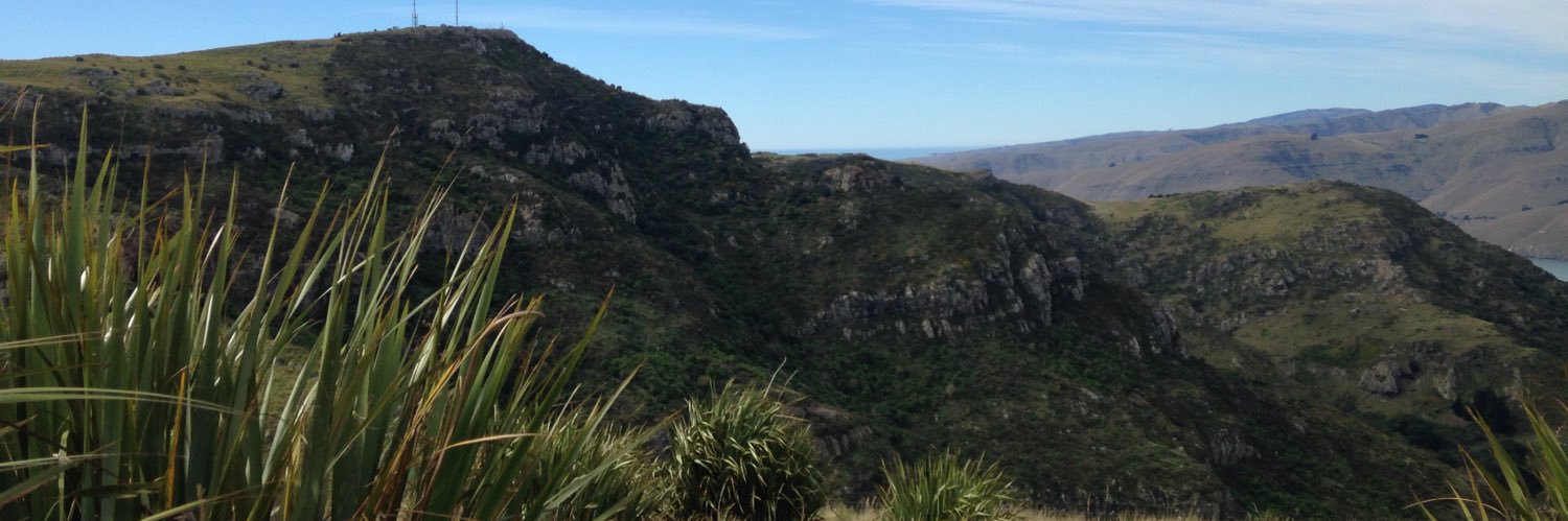 Brie Jessen-Vaughan banner