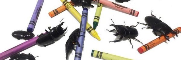 funnybeetle Profile Banner
