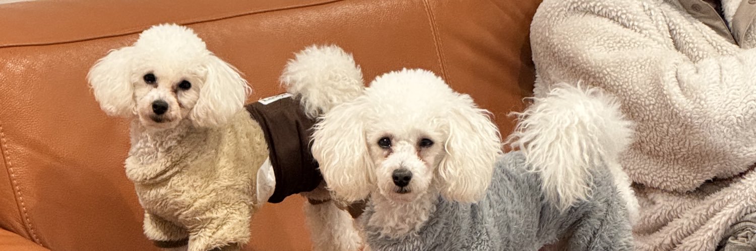 tremens's profile banner image