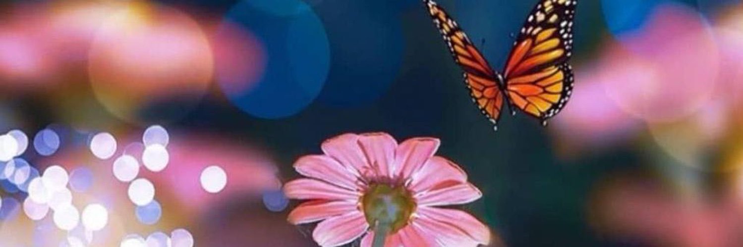 Suaad_6's profile banner image