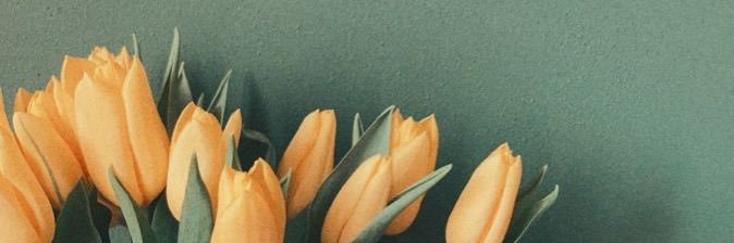 myu_0819's profile banner image