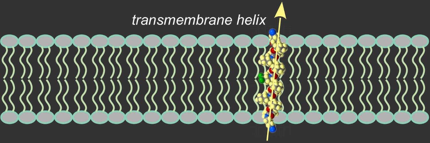 Vladimir Kubyshkin banner