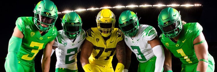 Duck Nation 🦆 banner