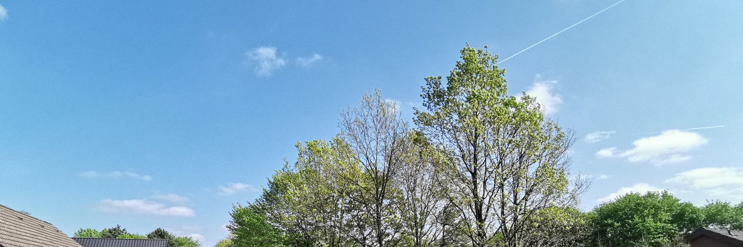 confusionPJ's profile banner image