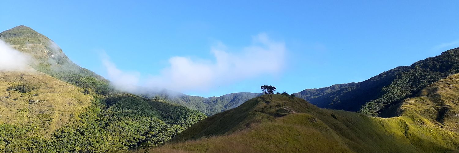 MinDanielArocha's profile banner image