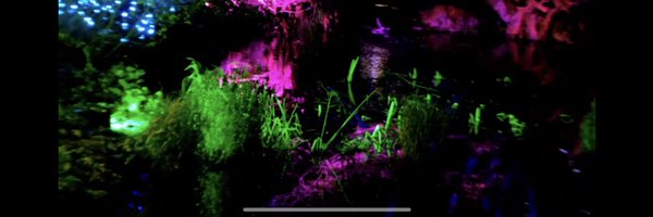 tobloe_ Profile Banner