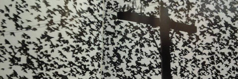 AsocialePunk's profile banner image