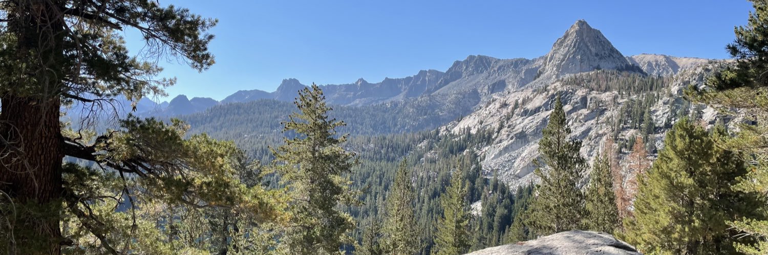 John E. Torgeson banner