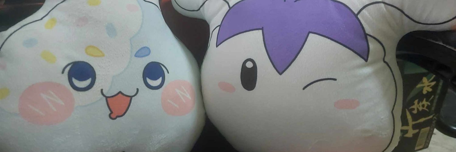 黑哲 RayCarry banner