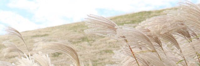 chunlife_'s profile banner image