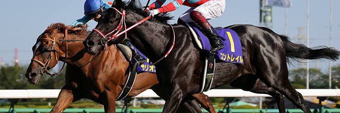 サンデーセナサン🏇 banner