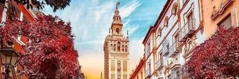 leonoroales's profile banner image