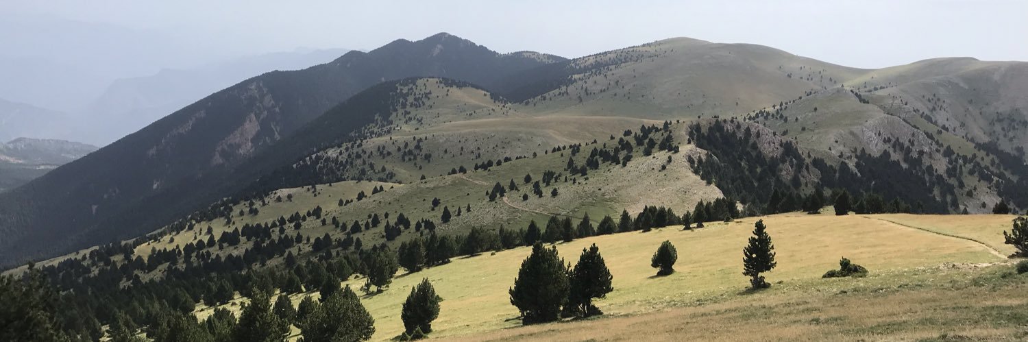 albertsole's profile banner image