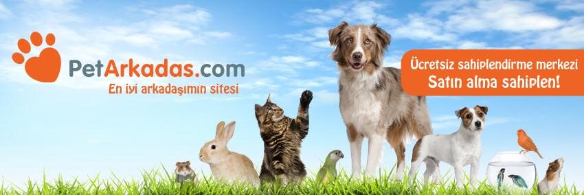 Petarkadascom's profile banner image