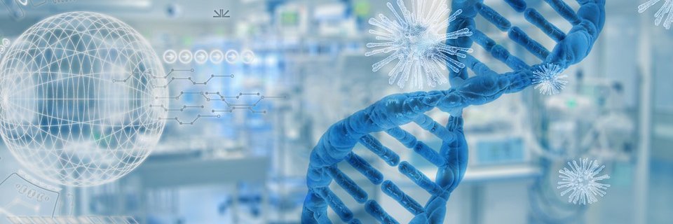 Centre for Predictive Human Model Systems banner